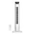 Rolipo Stiratore Verticale Portatile per Abiti, Stiratore a Vapore con Grande Serbatoio da 360 ml